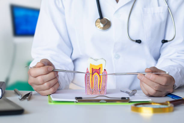 Best Emergency Treatment for Dental Infections or Abscesses in Forney, TX